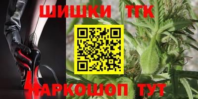 прущие грибы Будённовск
