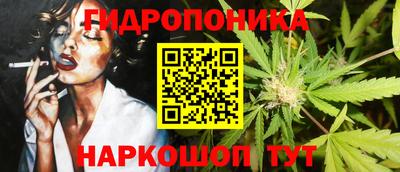 прущие грибы Будённовск